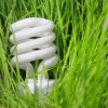 CFLbulb