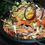 Compost
