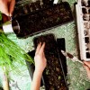 ContainerGarden