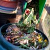 HighSchoolCompost