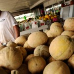 melon-popup