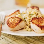 scallops
