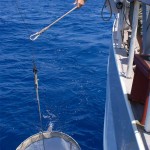 ocean-trash-collecting